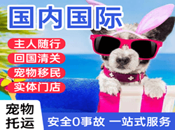 博乐阿拉山口空运公司国际宠物托运 【国